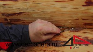 Дом из окоренного бревна