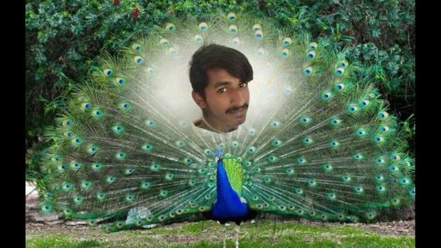 Legends Of Indian Photoshop | Photoshop Fails | JustAddHumour смотреть онлайн