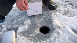 Обзор рыбалки! Уникальная прикормка Иваныча!