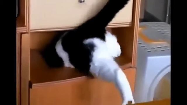 Кто то слишком много ест!!! смотреть онлайн