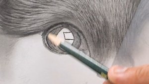 How to Draw Realistic Cat for BEGINNERS | Fur Drawing Technique