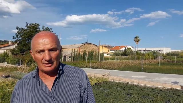 Utilizzo e propagazione del Cotoneaster смотреть онлайн