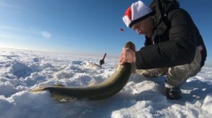 Новогодний Выпуск! ТРОФЕЙ! Новогоднее Поздравление Коргальжино. оз Кокай!