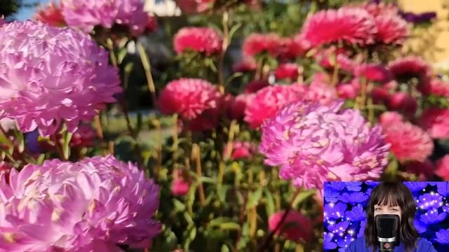 Врач застыл на месте, узнав свою умершую невесту. И когда Ева пришла к нему на приём... смотреть онлайн