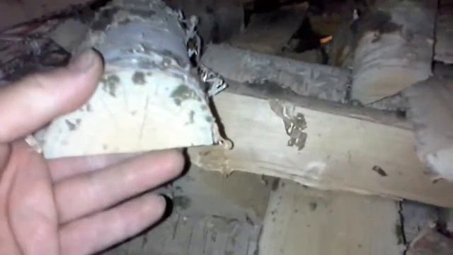 К чему приводит Неправельное хранение дров. смотреть онлайн