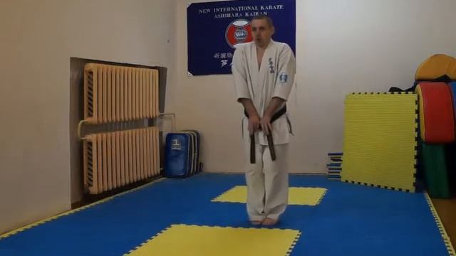 Махи ногами, ёко гери смотреть онлайн