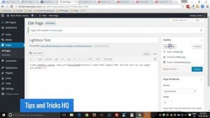 WP Video Lightbox Basic Usage