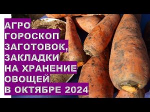 Агрогороскоп заготовок на зиму в Октябре 2024 Agrohoroscope of winter preparations in October 2024