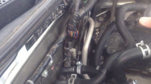 Установленный подогрев дубль 1 Атлант с принудительной циркуляцией.