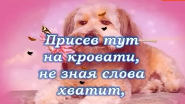 "ВСЕМ   ПРИВЕТ"  ВИДЕОПОЖЕЛАНИЕ !!!