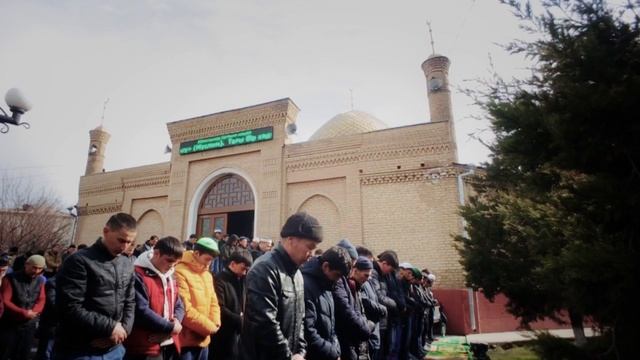 Sahih Tulip (2016) смотреть онлайн