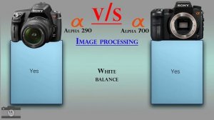 Sony Alpha 290 vs Sony Alpha 700