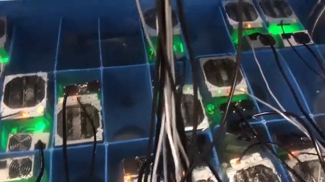 Криптокотел в действии