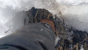 Промерзает ли почва под мульчёй?