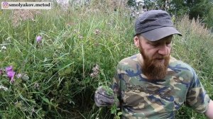 Аптечные травы. Лекарственные травы в аптеке почему не стоит покупать?