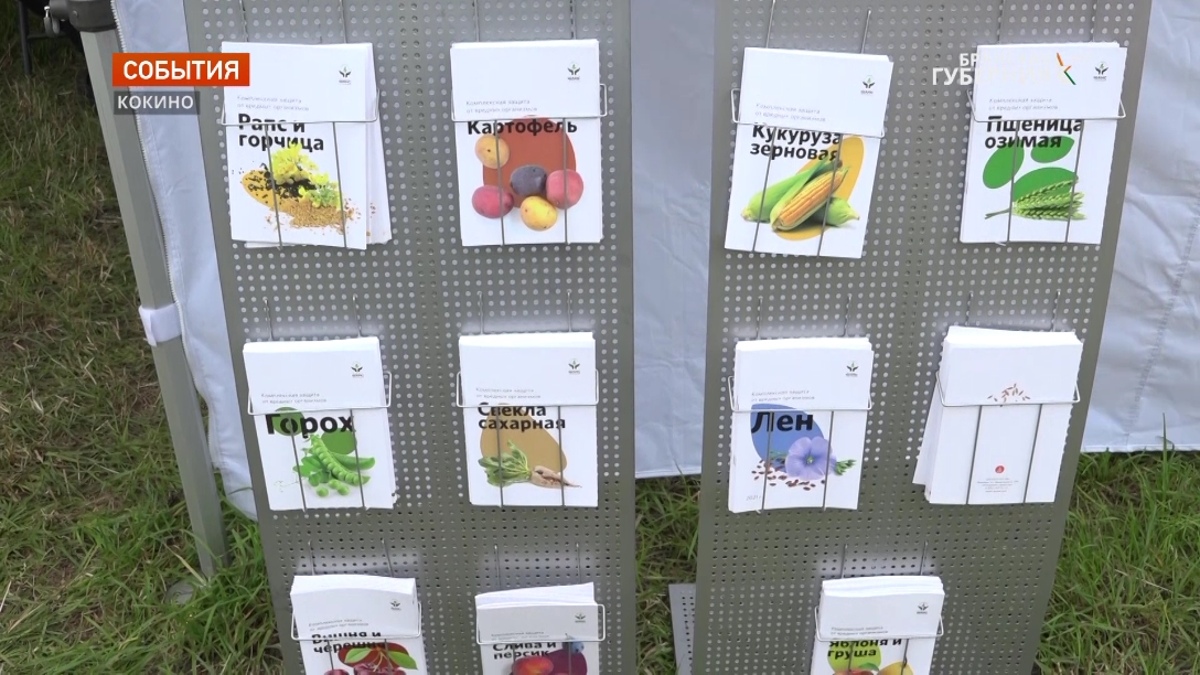 День поля ГК Шанс реклама_15 07 22.mp4