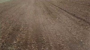 Посев ярового ячменя/2020/Китайской зерновой  сеялкой Синтай244.