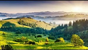 Николай Джинчарадзе - Что же мне не везёт?..