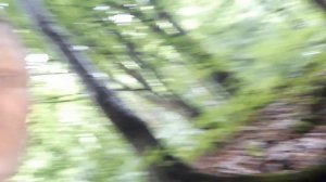 Обращение к Норнам!