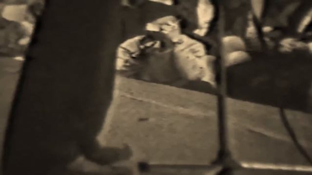 Владимир Высоцкий "Братские могилы" смотреть онлайн