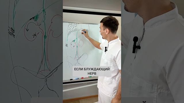 ПРИЧИНА КАМНЕЙ В ПОЧКАХ #егормоскалев #камнивпочках
