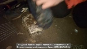 Идем ловить рыбу острогой и раколовками