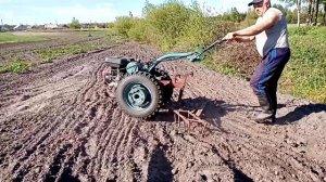 Боронование. Бороную картофель мотоблоком МТЗ.