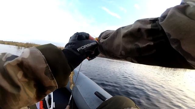 Lucky Craft Malas. Вытянул РЫБАЛКУ в ЖАБОВНИКЕ.