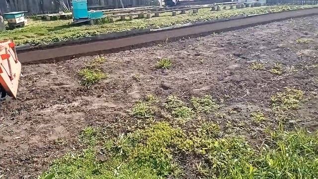 Т-25 с почвофрезой