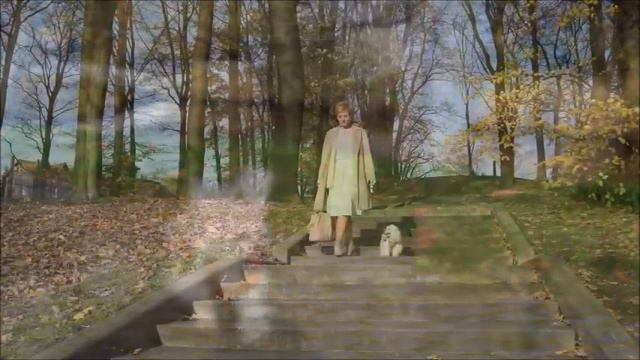 Одежда, сумки для собак. Коллекция Романтичная Леди смотреть онлайн