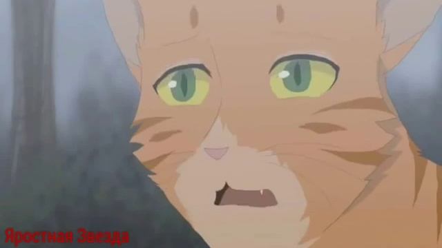 Коты-Воители Крутобок и Серебрянка - Мало тебя ( Заказ )