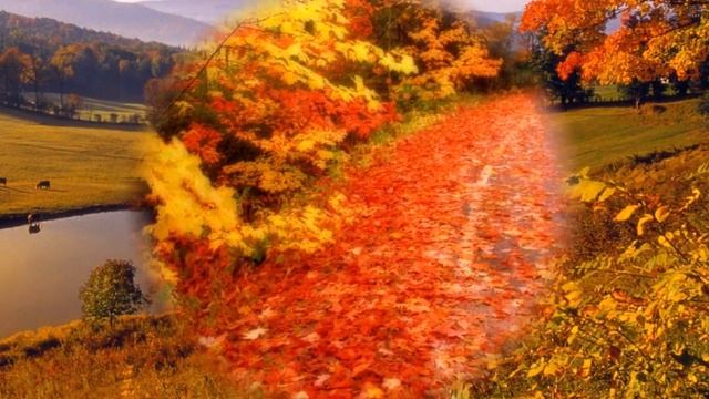 слайд шоу осень смотреть онлайн