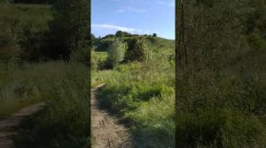 Дьяково городище в Коломенском - протогород Москвы? (1 часть)