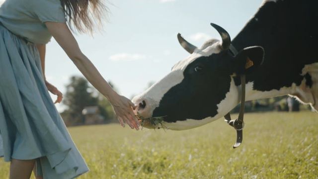 ДЕРЕВЕНСКИЕ ЗАРИСОВКИ смотреть онлайн