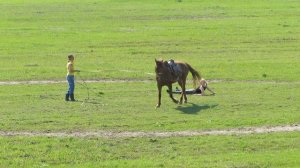 Падение с лошади - сила инерции