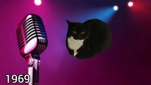 Maxwell the Cat Dance in Different years