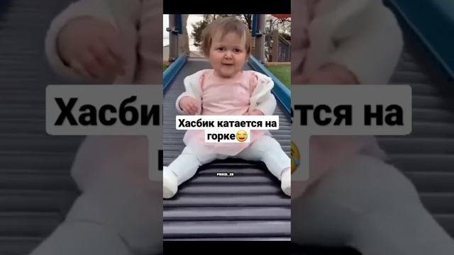 хазбик катается хазбик на качелях