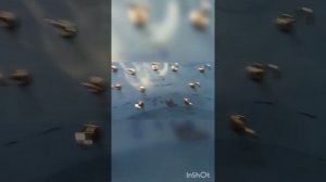 Как снять шаблон автомобильной Арки