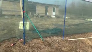 Забор вокруг пасеки из фасадной строительной сетки 80гр метр кв.