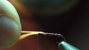 Школа вязания мушек 09.02.20. Buzzers