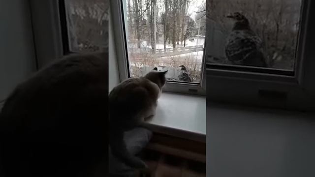 видео снимала моя бабушка смотреть онлайн