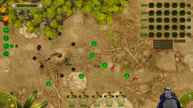 DGA Live-streams: Ant Queen - Sandbox/Hard (Ep. 35 - Gameplay / Let's Play) смотреть онлайн