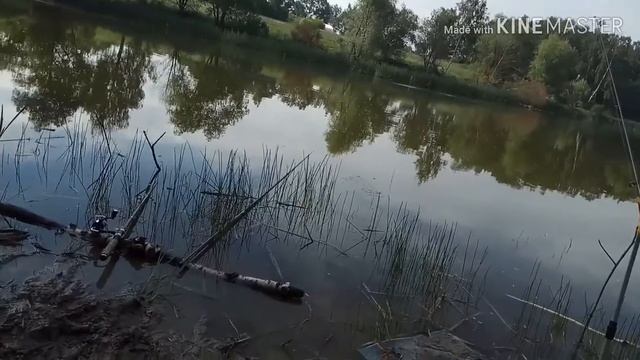 Пешая рыбалка на велосипеде/ первый день лета смотреть онлайн