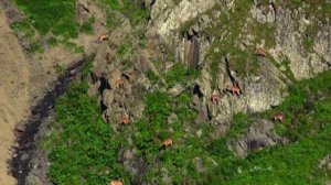 Заповедник Тляратинского района