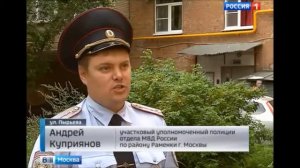 Собачья жизнь 2