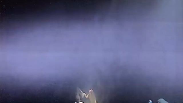 Нотр-Дам де Пари / Notre Dame de Paris - 1998г.