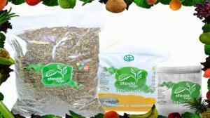 Stevia Sirve Para Diabeticos 🍄 Stevia Planta Contraindicaciones