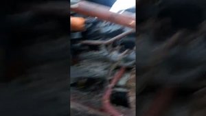 Засоренность фильтра картерных газов Iveco EuroCargo