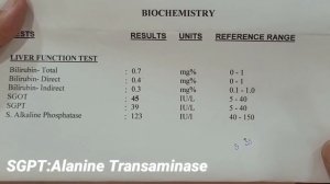 LFT TEST Report Kaise Dekhe | Liver Function Test in Hindi | LFT Test in Hindi