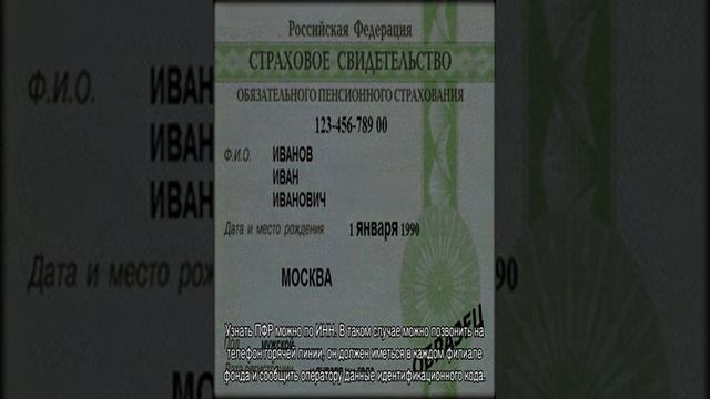 Регистрационный номер в Пенсионном фонде Российской Федерации